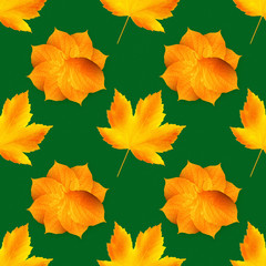 Seamless autumn pattern. Fallen leaves on green background; isolated