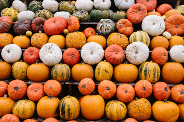 Pumpkin market