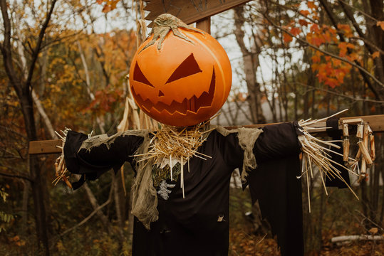 A festive Pumpkin Scarcrow outside of a home for halloween