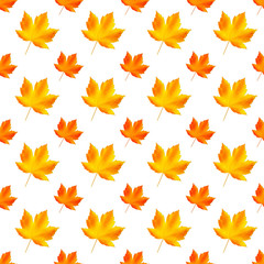 Seamless autumn pattern. Fallen leaves on white background, isolated