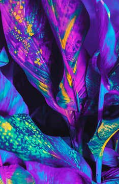Painted palm pattern/background