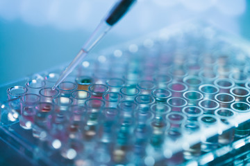 Working in laboratory