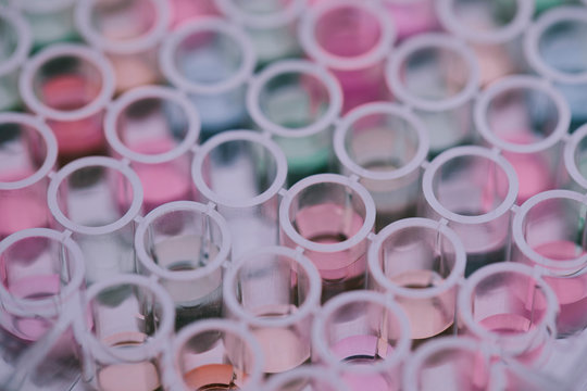 Working in laboratory