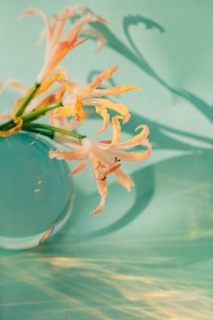 Bunch of flowers on glass ball