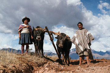 Indigenous couple farming
