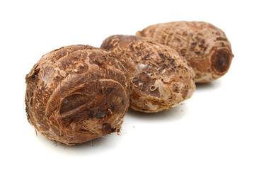 Closeup of taro on white background
