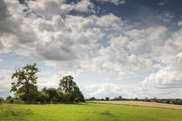 Fototapeta na wymiar lovely countryside of Oxfordshire