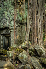 Temples of the Cambodia Jungle