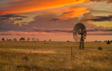 Australian sunset with a windmill - obrazy, fototapety, plakaty