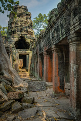 Fototapeta na wymiar Temples of the Cambodia Jungle