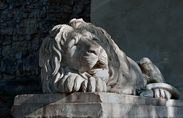 The sleeping lion sculpture in Lviv, Ukraine
