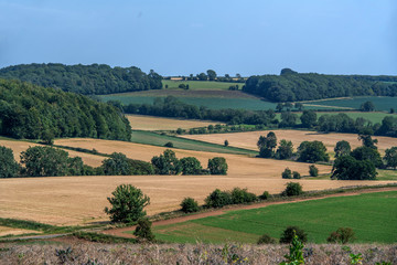 Fototapeta na wymiar HDR image of Cotswolds agricultural landscape on a summers day, Gloucestershire, England, UK