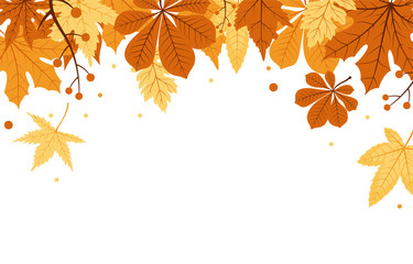 Fototapeta na wymiar Autumn Fall Season Leaf Greeting Invitation Card Beautiful Nature Background