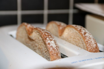 toasted bread