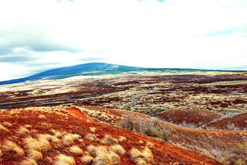 autumn landscape in the mountains