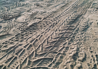 Wheel tracks of cars and bicycles on a dirt road made of sand.