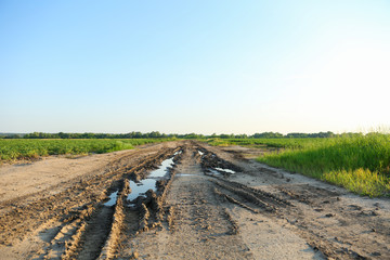 road through a potato field on a sunny day