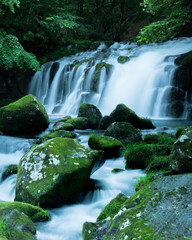 初夏の滝