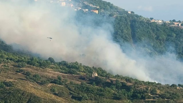 Fire fighter department helicopter working on summer malicious flames nature save, 4k emergency 