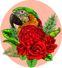 macaw parrot head with red flowers and palm leaves print composition vector illustration