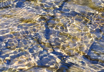 Peaceful and rippled surface of a stream, with waves and patterns of sunlight, brown rocky bottom visible underneath.  