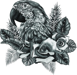 macaw parrot head with  flowers and palm leaves print composition vector illustration black, white, print, tattoo, gray, coloring, monochrome