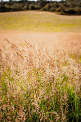 Montañas de Boyacá, paisajes montañosos en Colombia