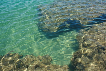 coral reef and sea
