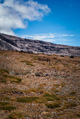 Paisajes del parque Nacional los Nevados PNN, nevado del Ruiz, el Cisne, montalas de Colombia, Antioquia, Quindio, Caldas y Risaralda