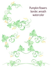 Pumpkin flowers, leaves, border watercolor
