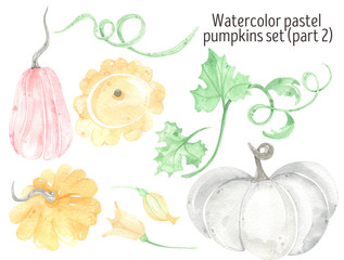 Watercolor pumpkins pastel, autumn, leaves and flowers. Harvest Illustration. Helloween.