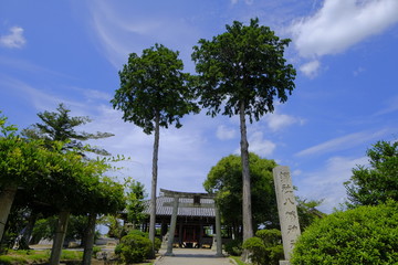 Fototapeta premium 快慶の傑作 阿弥陀三尊像のある浄土寺