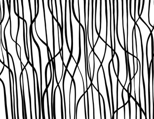 White and black vector. Grunge background. Abstract brush pattern. - 372369547