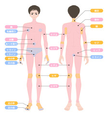 脱毛箇所　全身　男性