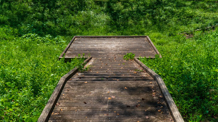 森の中の木のステージ