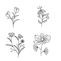 Wild Flowers Illustrations.