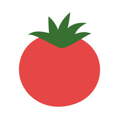 fresh tomato vegetable in white background vector illustration design