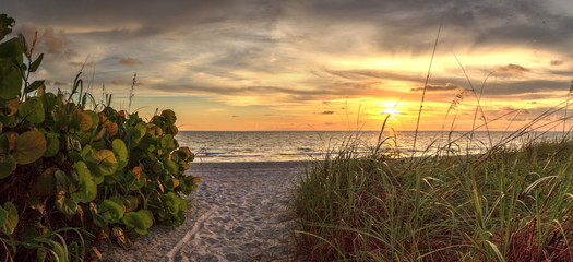 White sand path leading toward Delnor Wiggins State Park at sunset