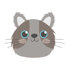 pet little cute gray cat head cartoon isolated white background design