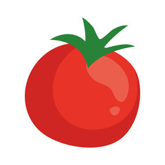 fresh tomato vegetable in white background vector illustration design