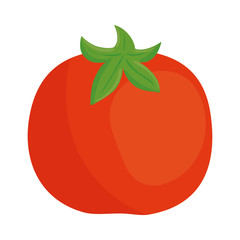fresh tomato vegetable on white background vector illustration design