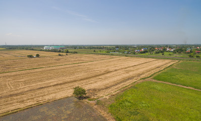 field background, top view landscape, nature
