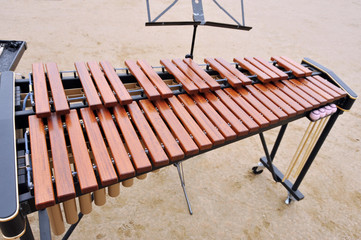 運動場で演奏するブラスバンドの木琴