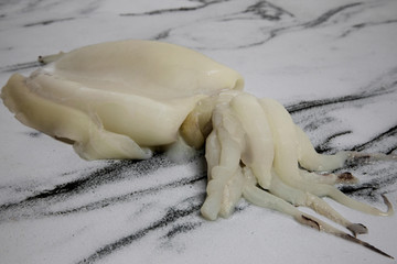 Gastronomy. Seafood delicacy. Closeup view of a raw white cuttlefish ready for cooking.	