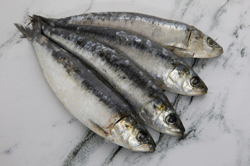 Cuisine. Fish. Closeup view of raw sardines on the table. 