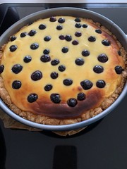 homemade cheese cake with blueberries