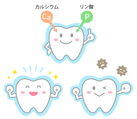 フッ素の効果　かわいい歯