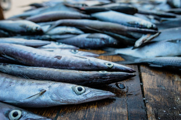 Peces del Pacificó, venta de pescado en Tumaco_Nariño_Colombia