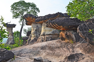 Mushroom shape stones with green tree on the mountain