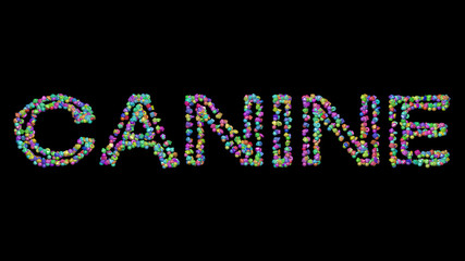 Colorful 3D writing of canine text with small objects over a dark background and matching shadow for dog and animal